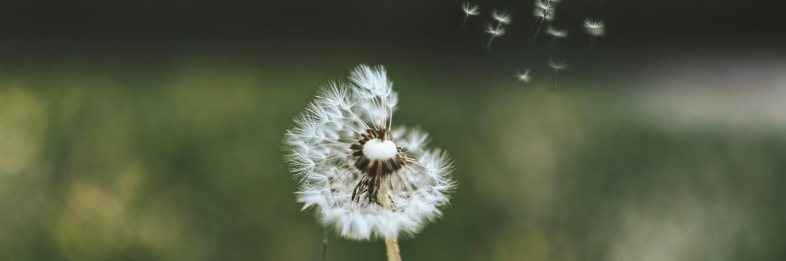 standort-background-image